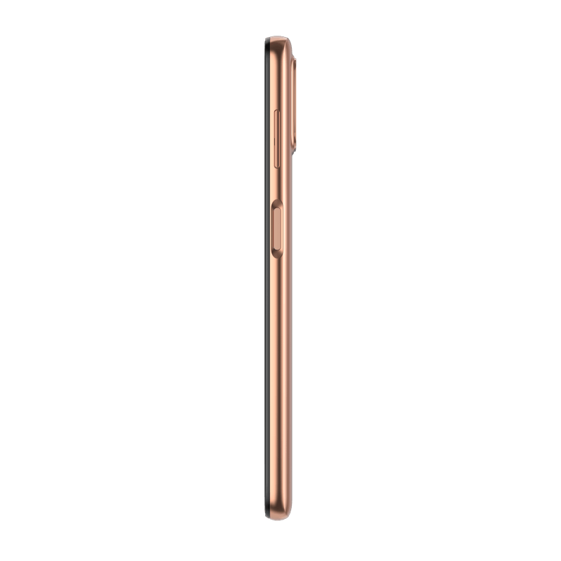 2020_Odessa_CopperRose_RIGHTSIDE-foto-5